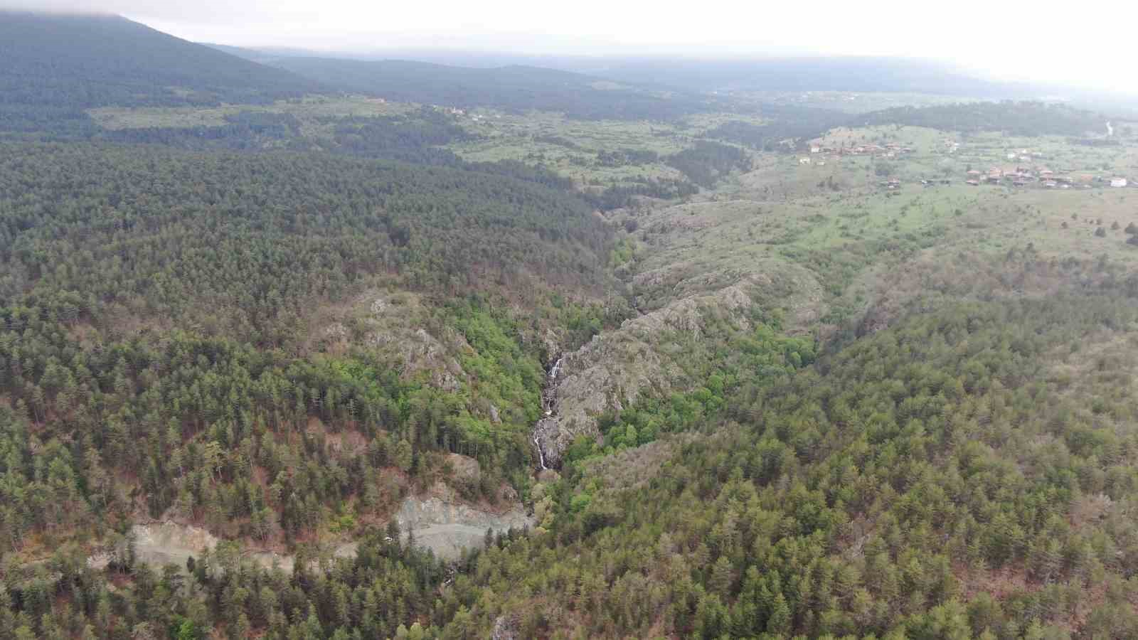 Ormanın içerisindeki şelale görenleri mest ediyor