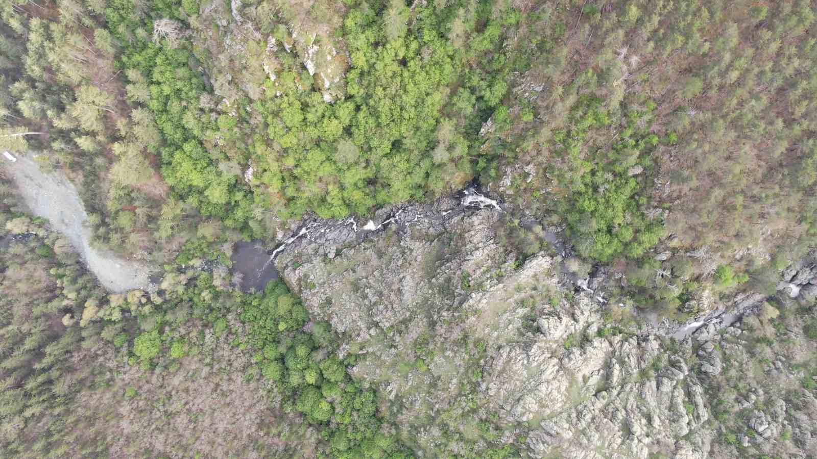 Ormanın içerisindeki şelale görenleri mest ediyor