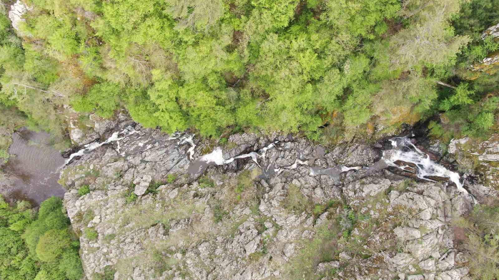 Ormanın içerisindeki şelale görenleri mest ediyor