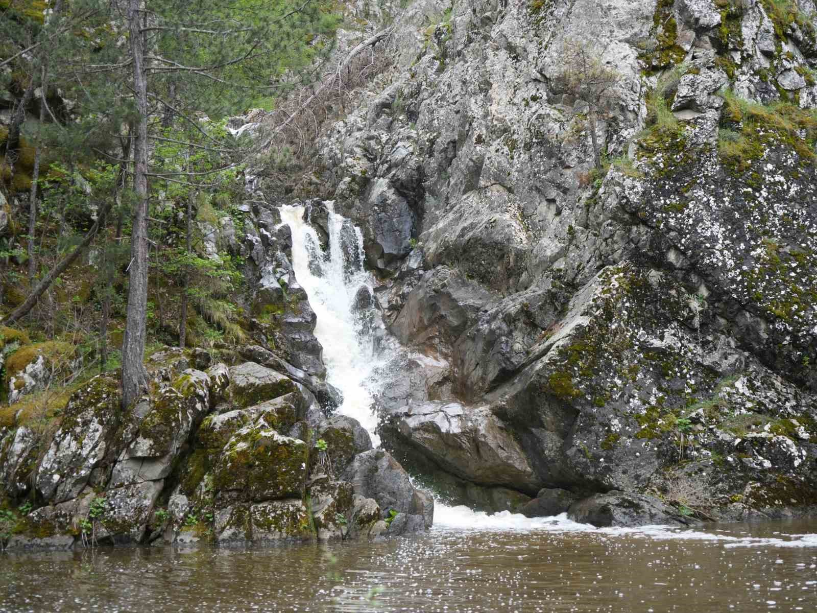 Ormanın içerisindeki şelale görenleri mest ediyor