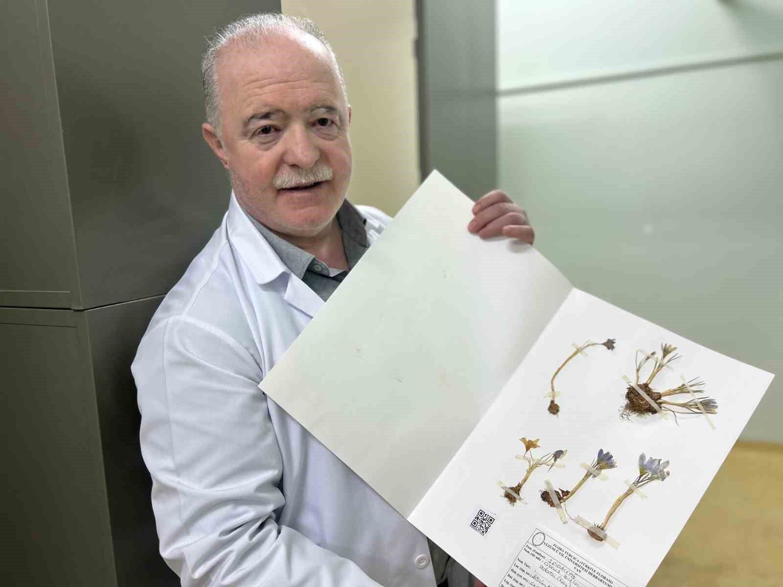 VANF Herbaryumu’nda safran koruma altında