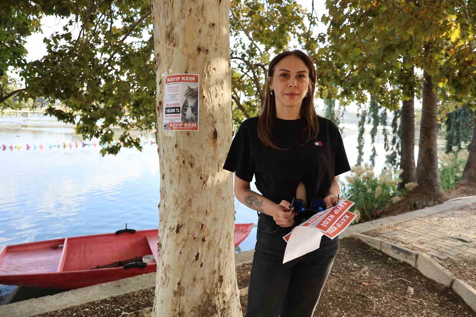 Kayıp kedisini bulana 100 bin lira ödül verecek