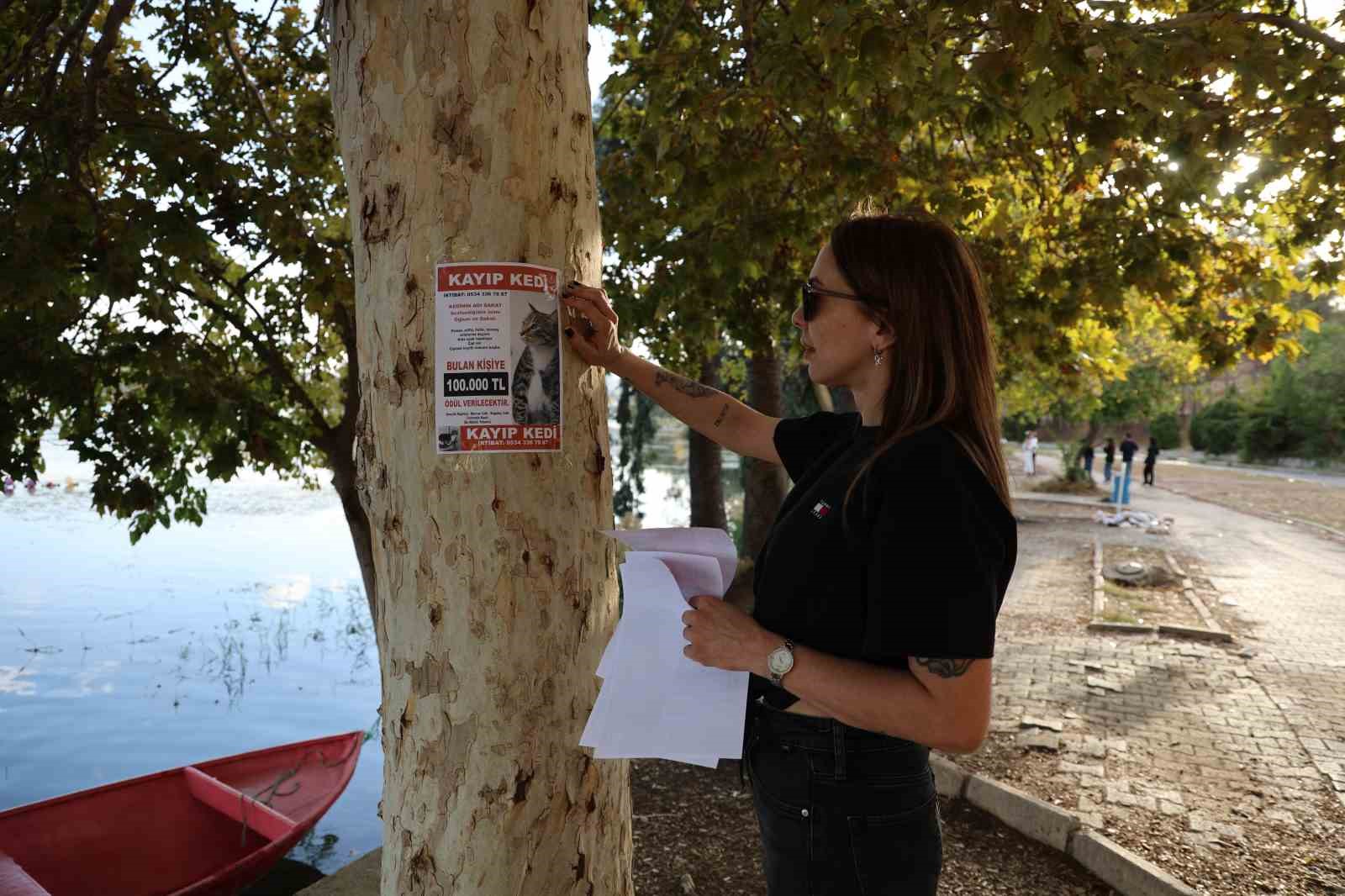 Kayıp kedisini bulana 100 bin lira ödül verecek