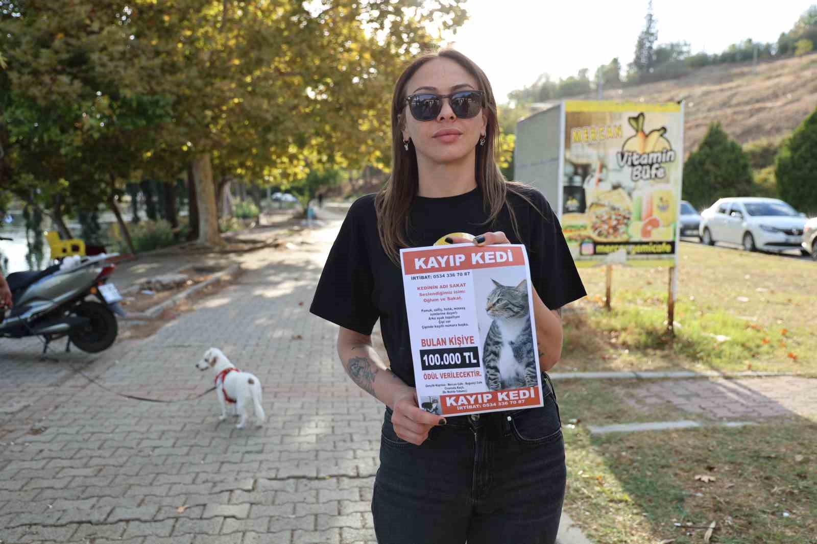 Kayıp kedisini bulana 100 bin lira ödül verecek