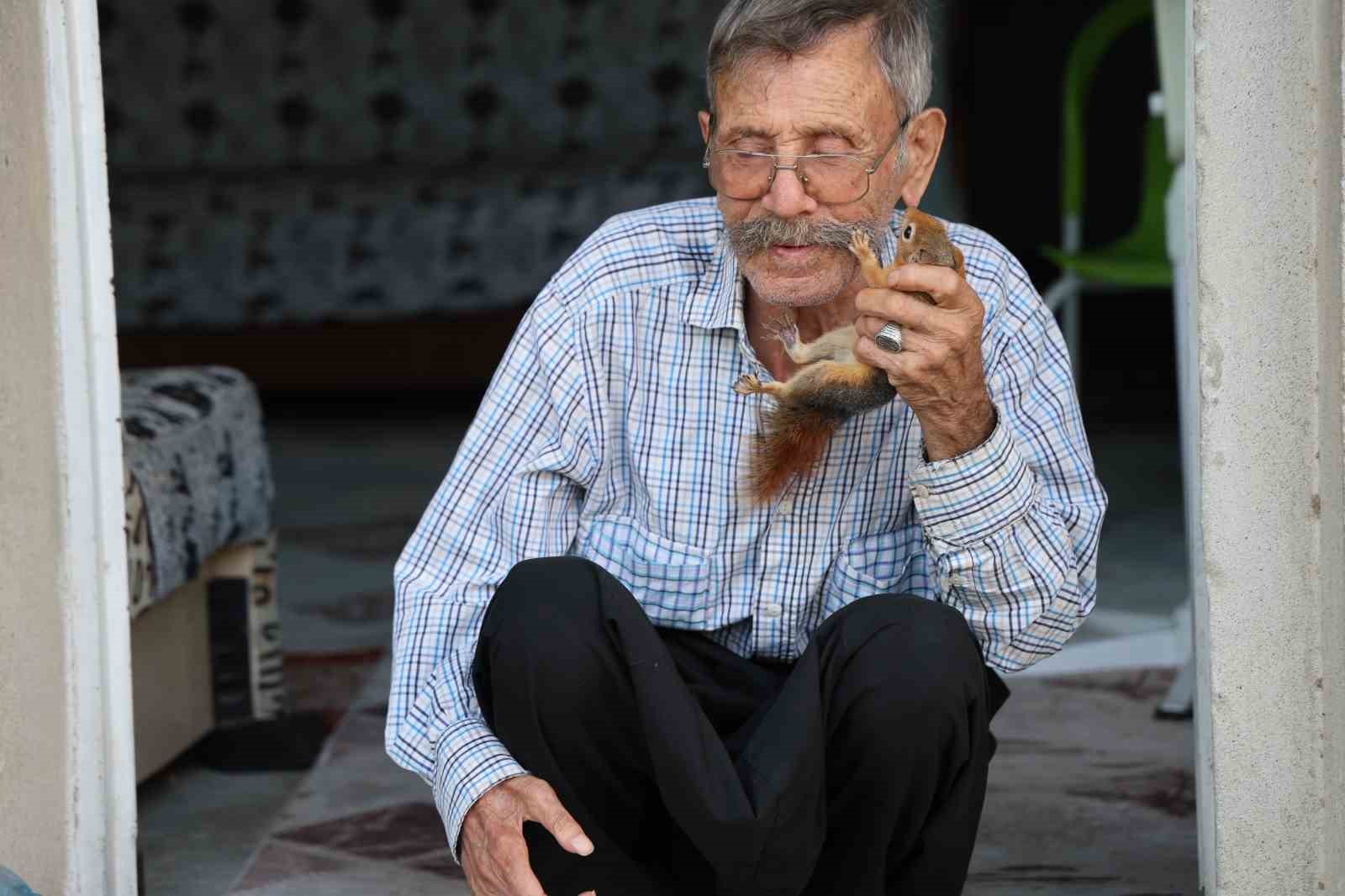 Yalnız kalmıştı, yavruyken kurtardığı ’sincap’ dostu oldu