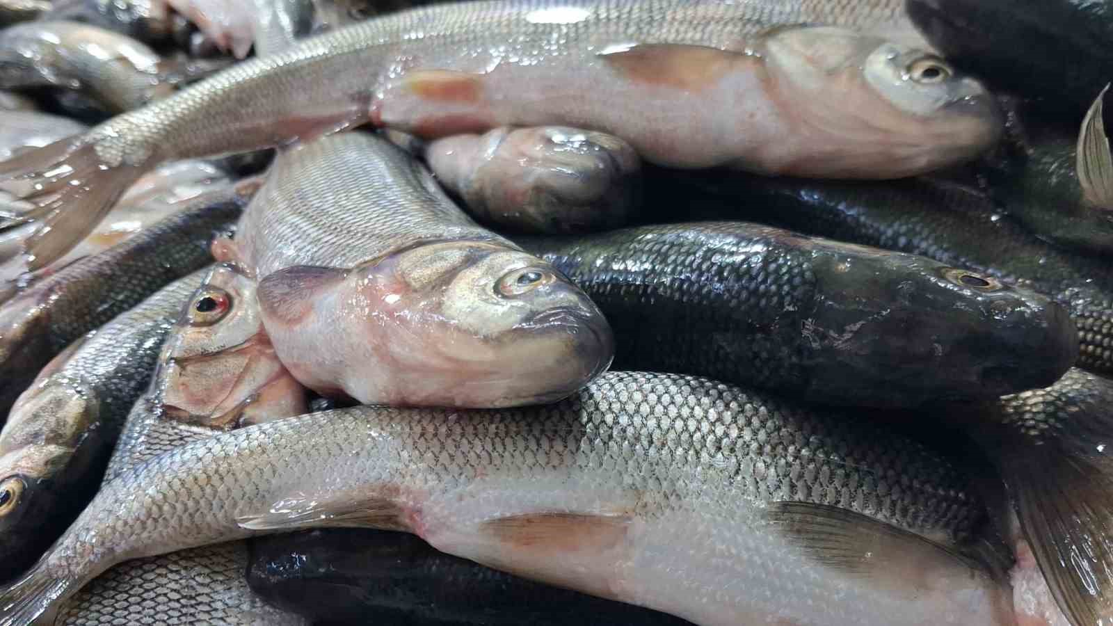 Van’da havaların soğumasıyla inci kefaline ilgi arttı