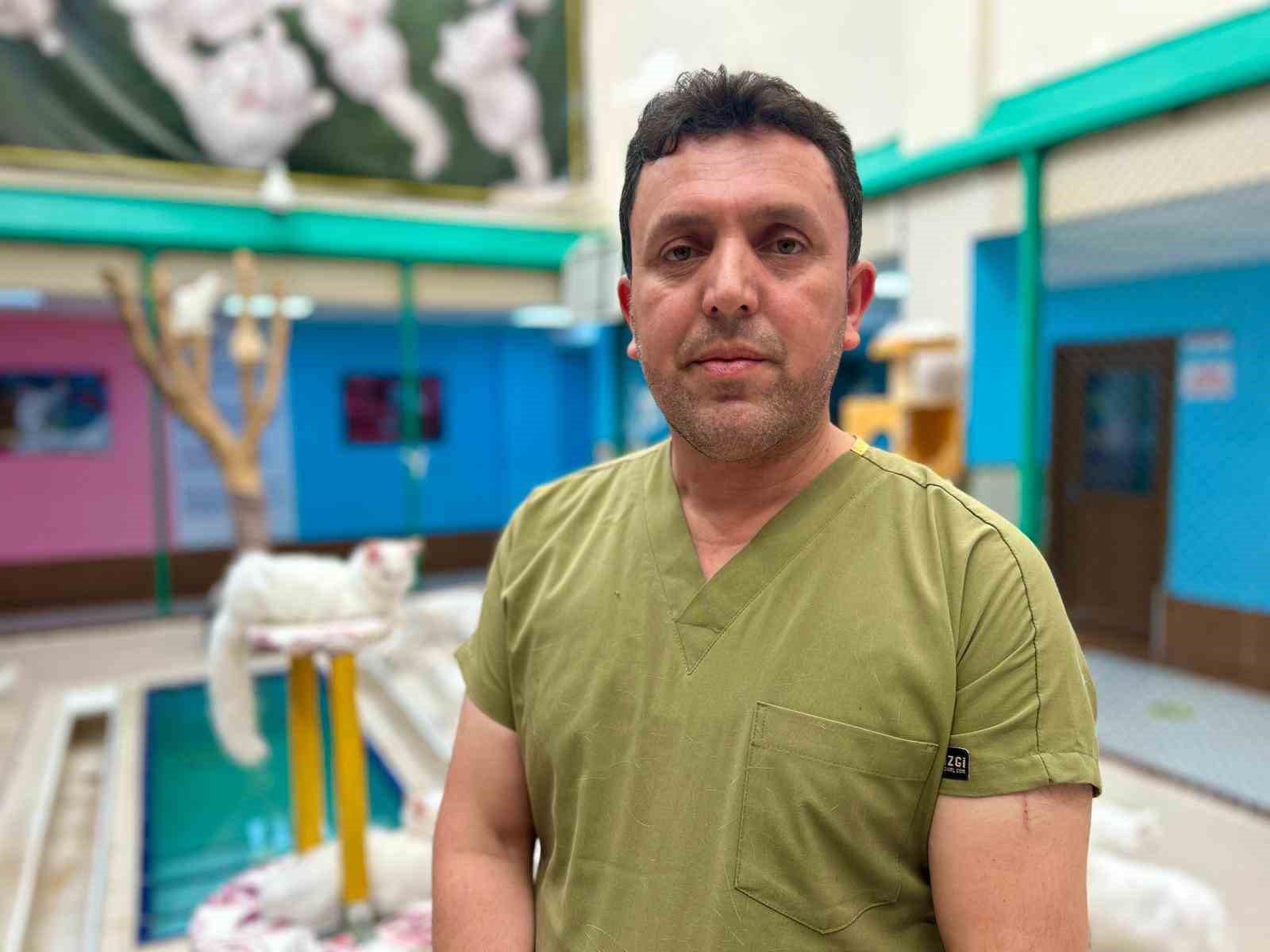 30 yıllık emek: Van kedilerine bir ömür adadı