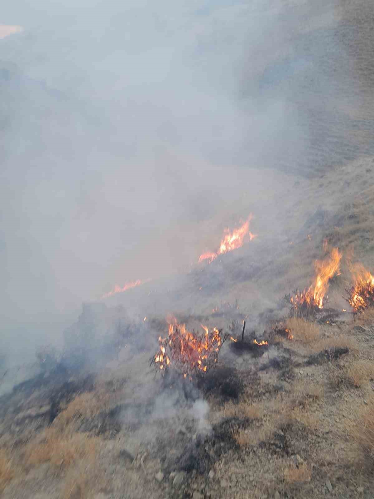 Başkale’de anız yangını