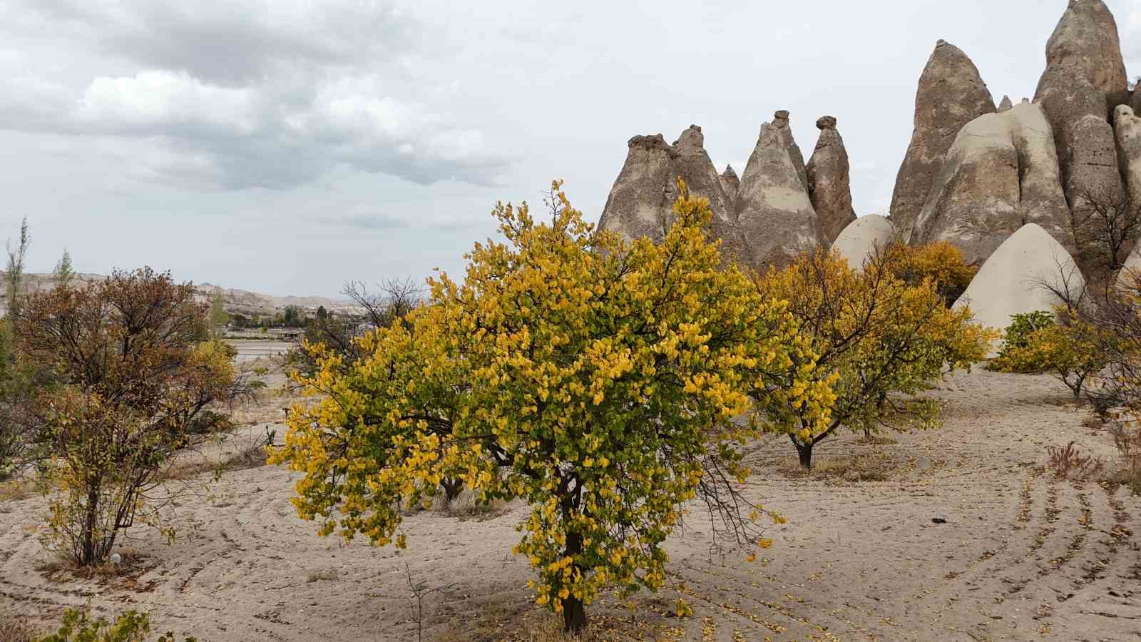 Kapadokya’daki renk cümbüşü dron ile görüntülendi