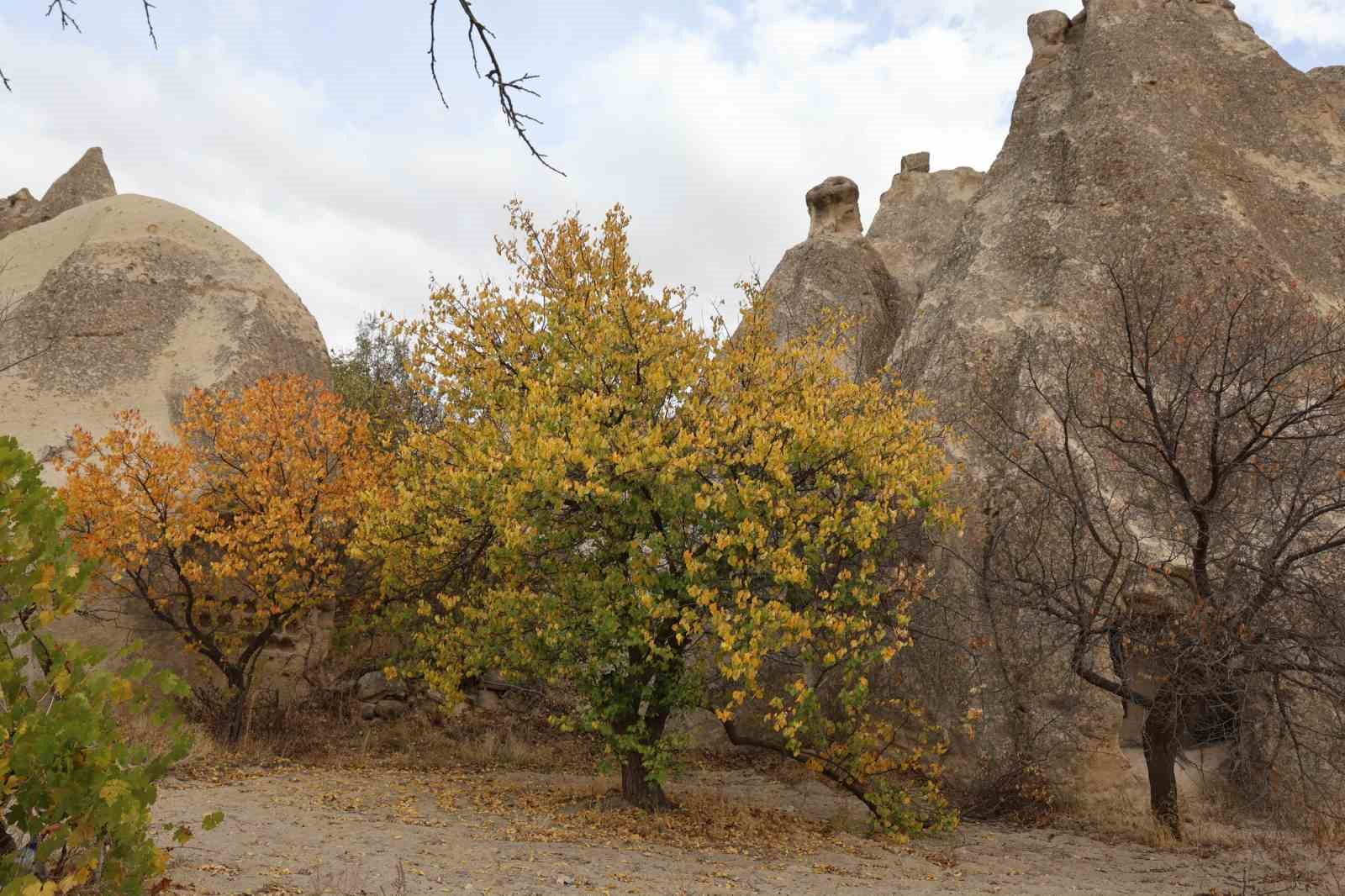Kapadokya’daki renk cümbüşü dron ile görüntülendi