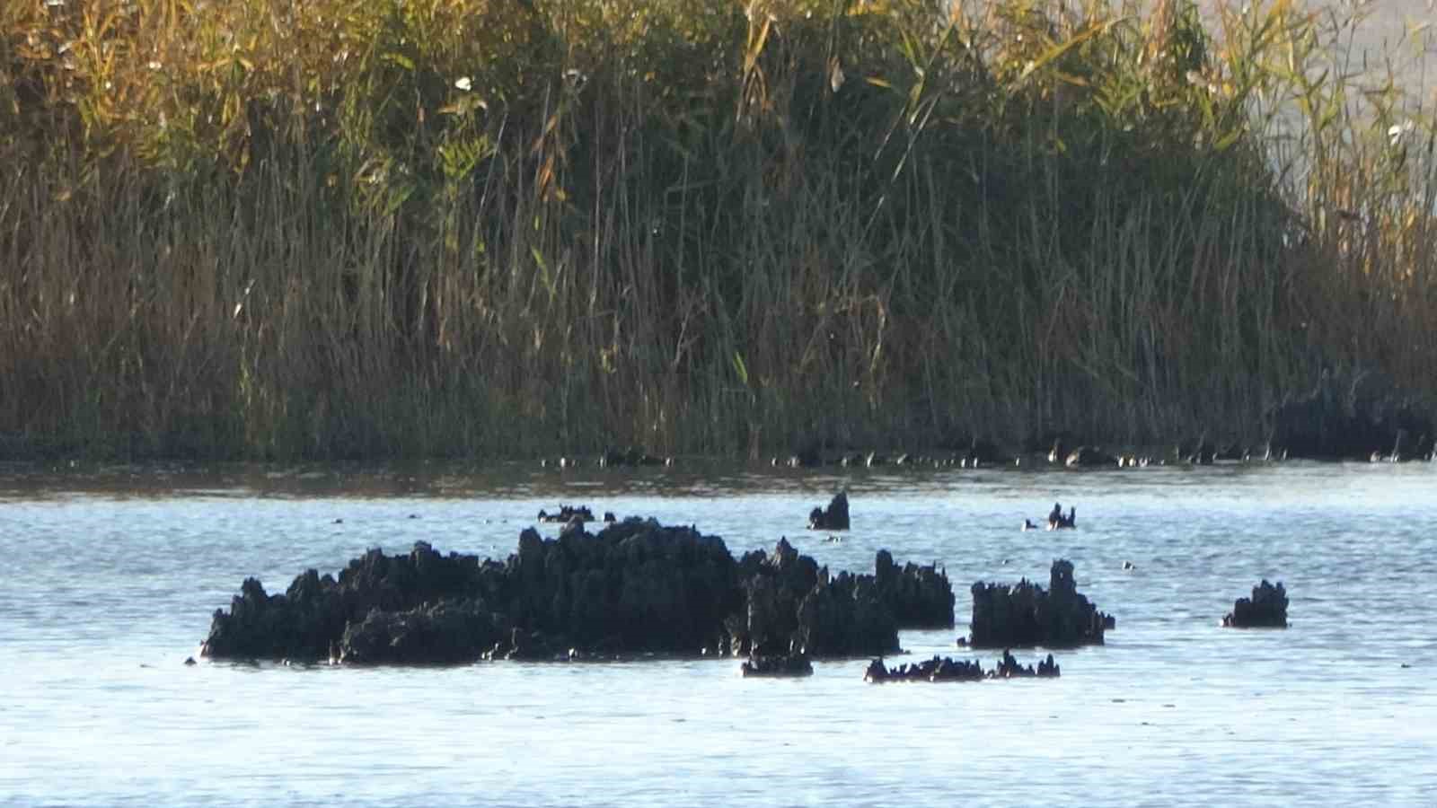 Erçek Gölü’nde su çekilince mikrobiyalitler ortaya çıktı