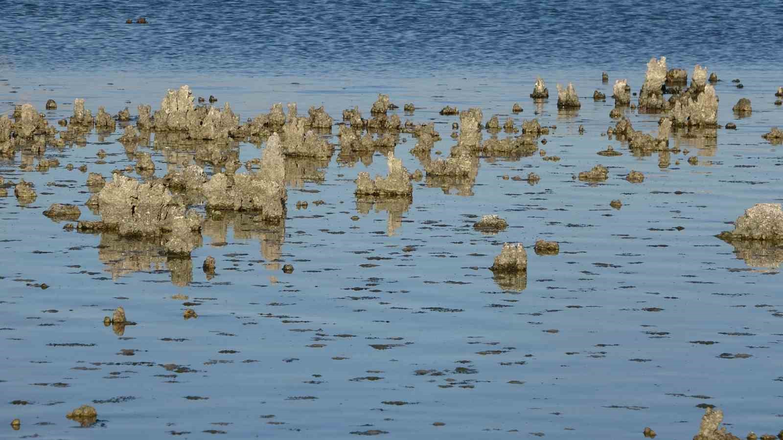 Erçek Gölü’nde su çekilince mikrobiyalitler ortaya çıktı