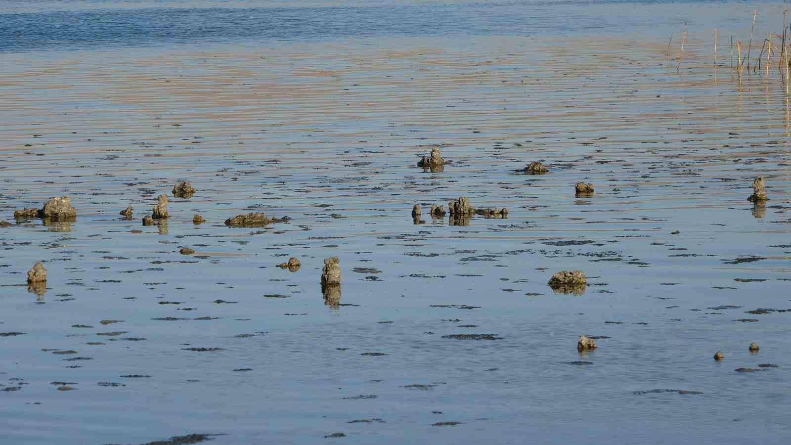 Erçek Gölü’nde su çekilince mikrobiyalitler ortaya çıktı