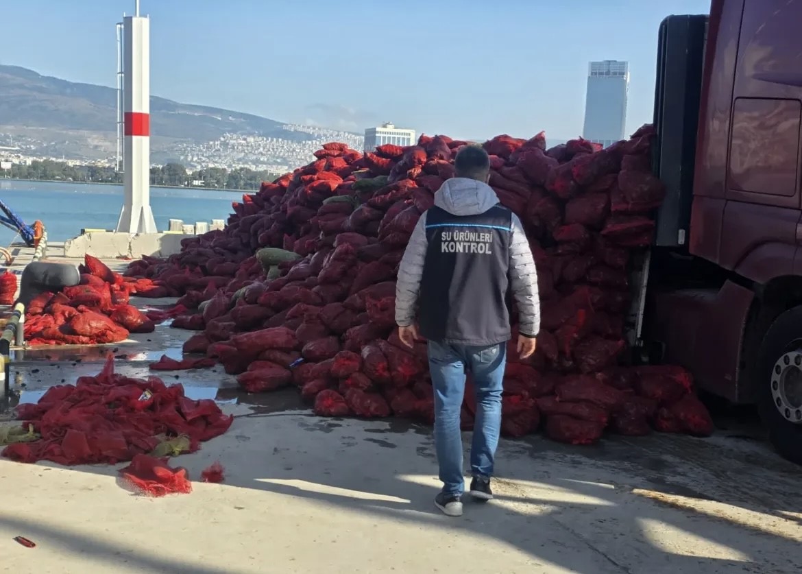 27 ton belgesiz kara midyesi ele geçirildi