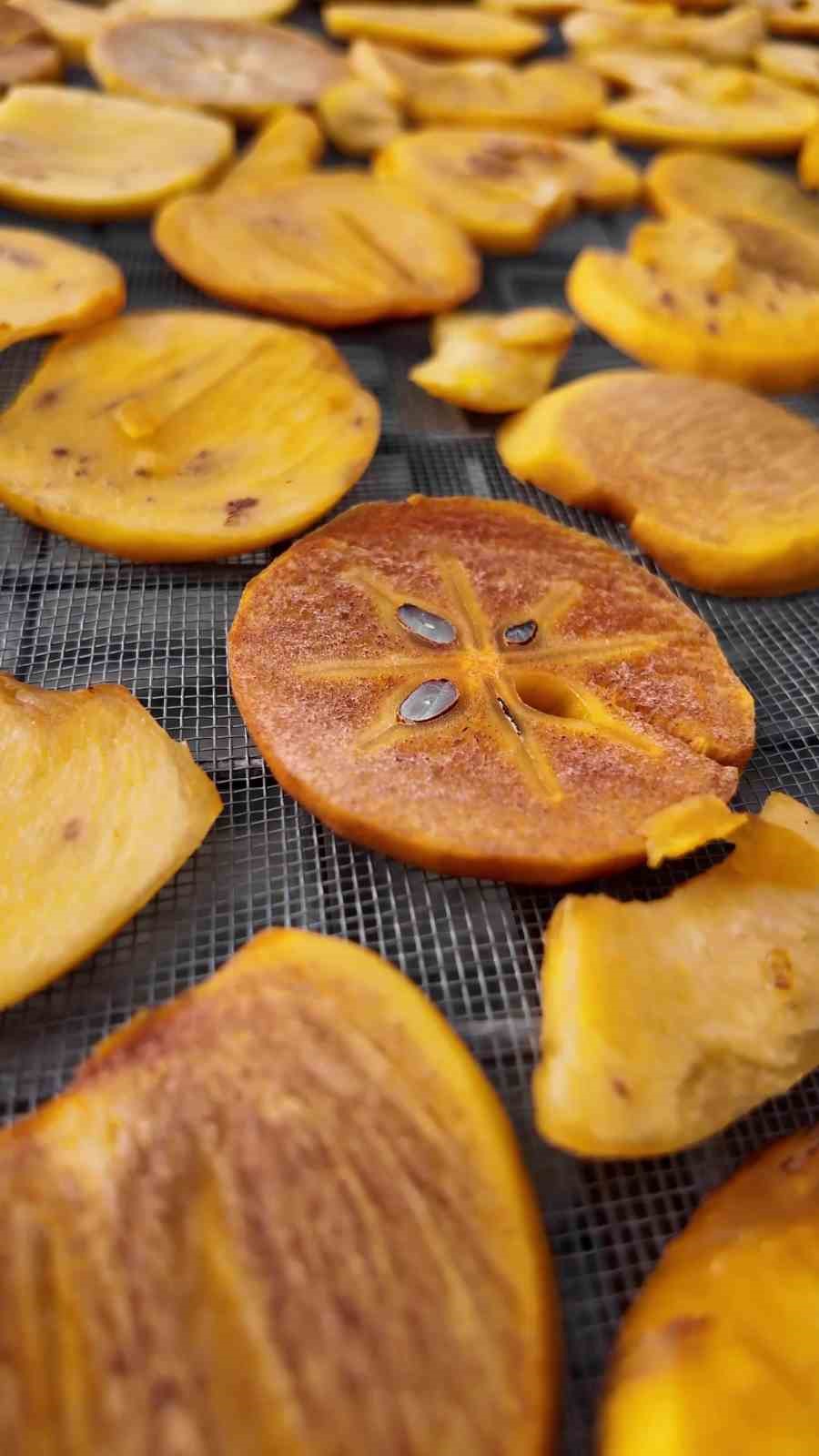 Honaz’ın meşhur cennet hurması bu kez cips olarak damakları şenlendirecek