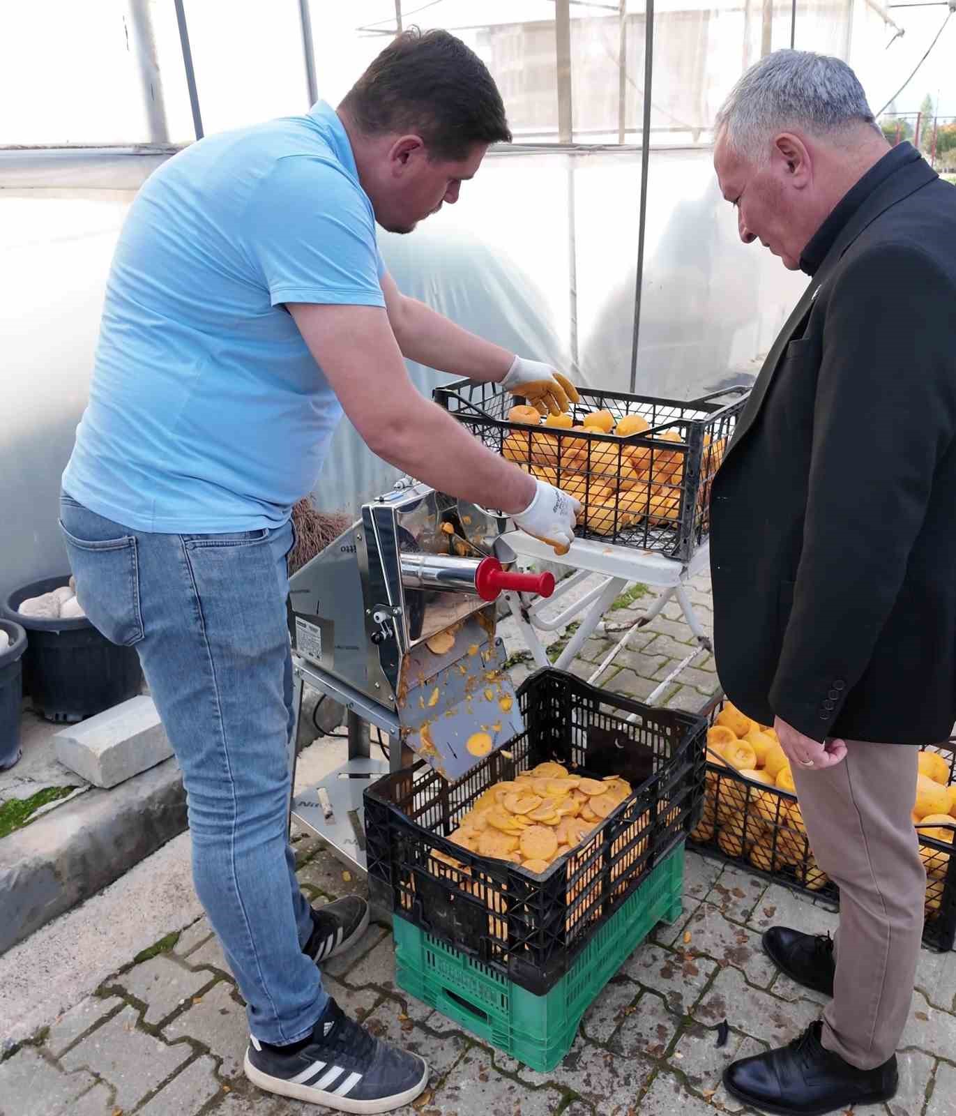 Honaz’ın meşhur cennet hurması bu kez cips olarak damakları şenlendirecek