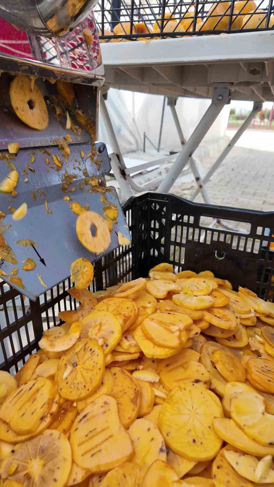 Honaz’ın meşhur cennet hurması bu kez cips olarak damakları şenlendirecek