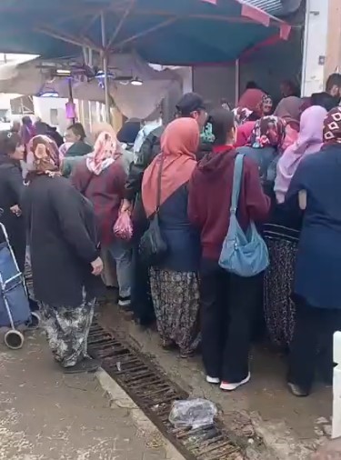 Ücretsiz hamsi dağıtımı yoğun ilgi gördü