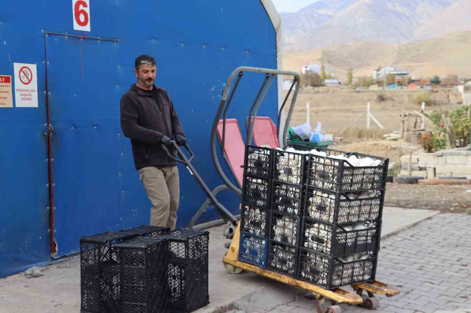 Yılın son mantar hasadı başladı