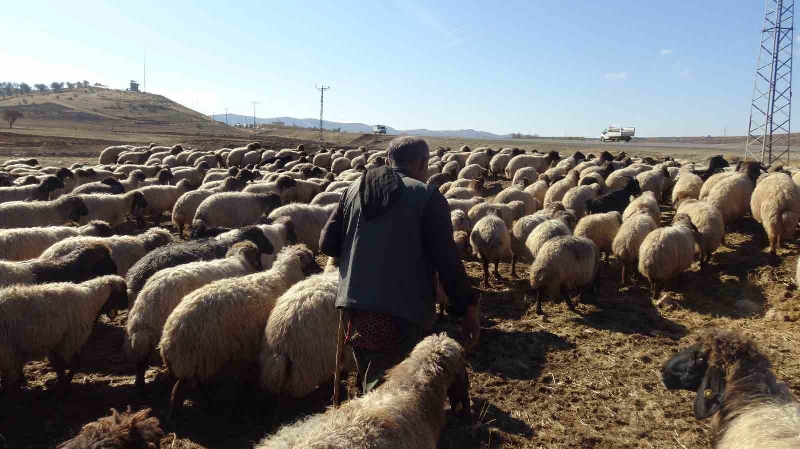 Gercüş’te göçerlerin zorlu yolculuğu