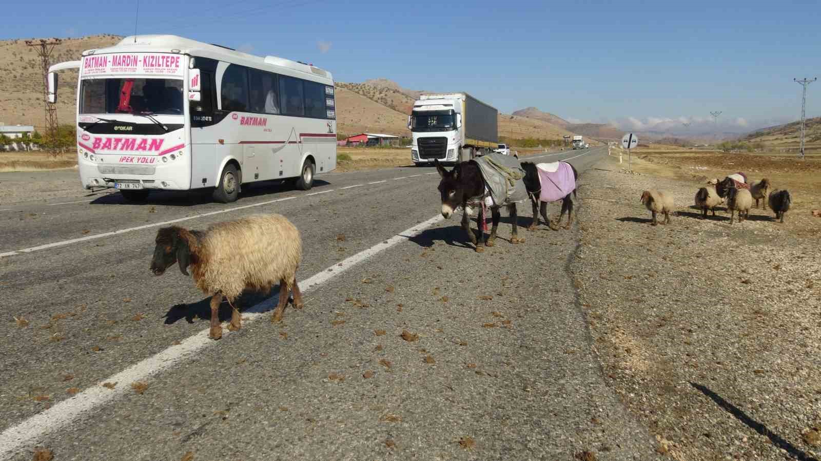 Gercüş’te göçerlerin zorlu yolculuğu