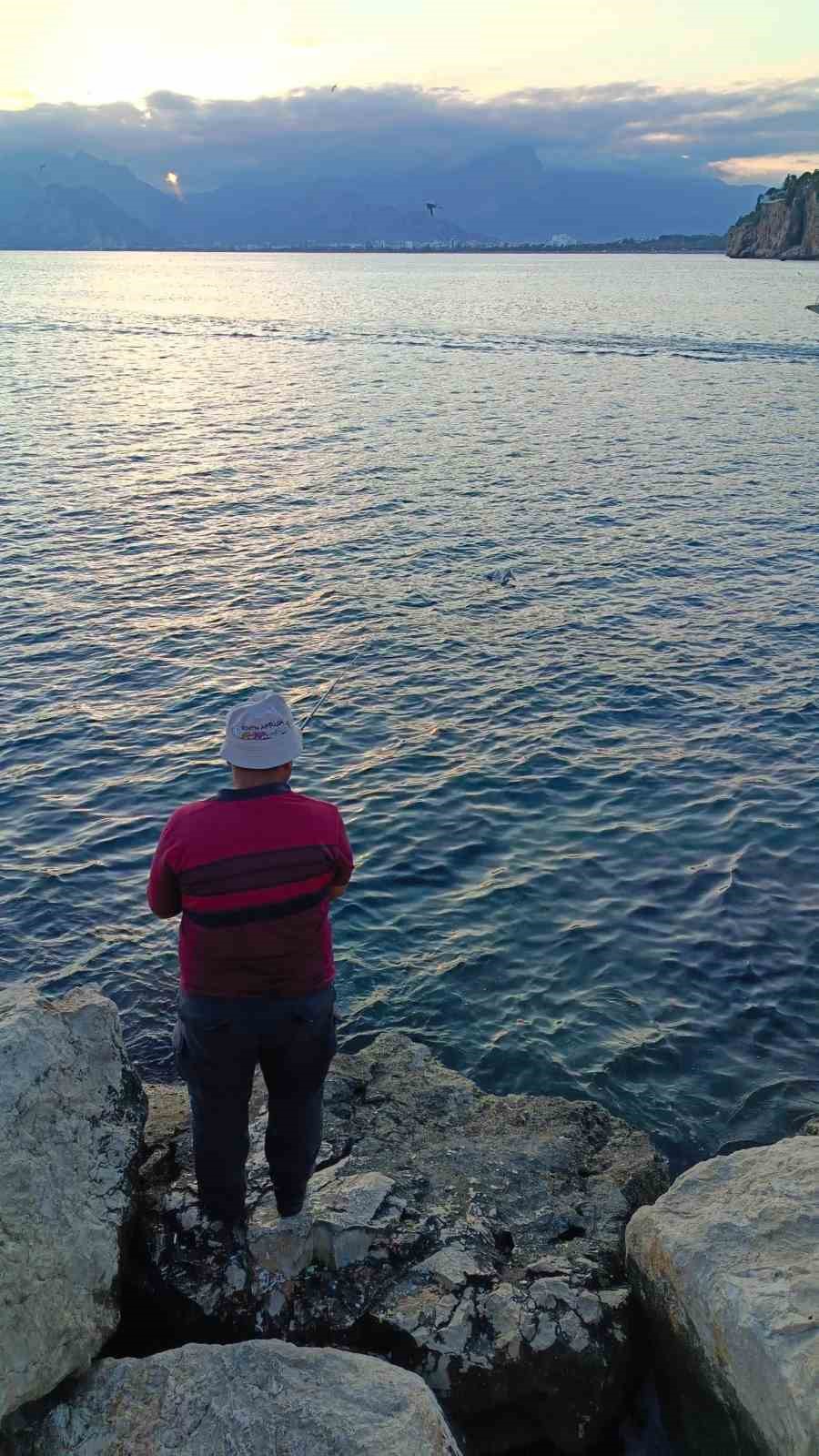 Oltaya bu kez balık yerine martı takıldı