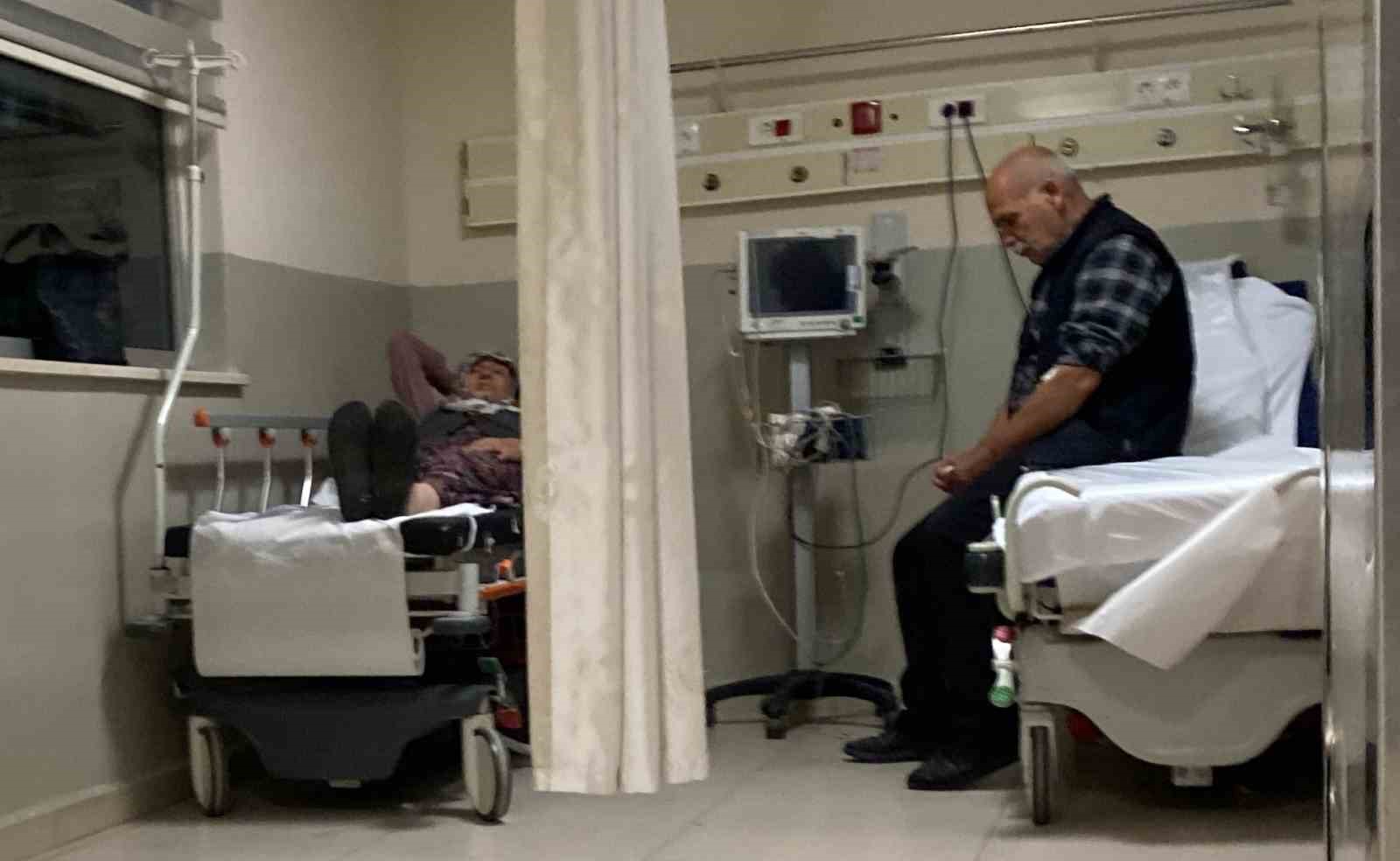 Ormandaki mantarları yiyen 7 kişi hastanelik oldu