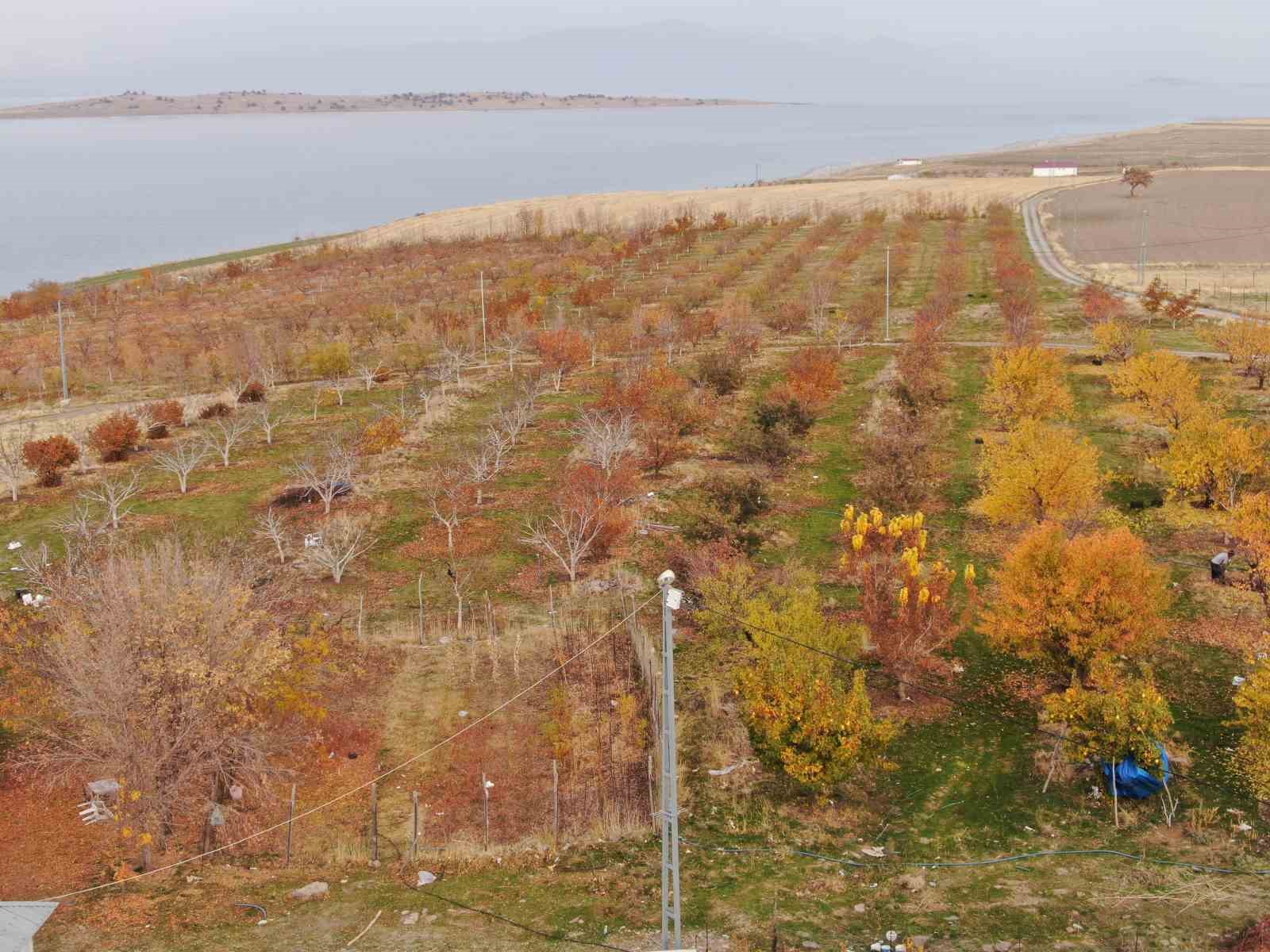 Van’da kartpostallık sonbahar manzaraları