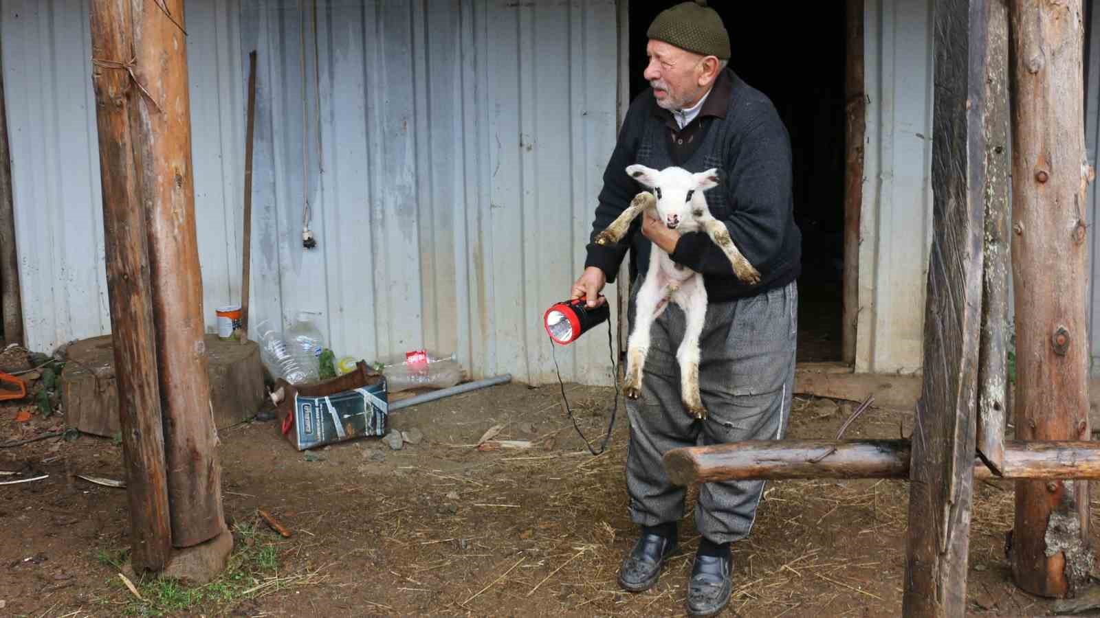 Bolu’da yaylalardan köylere göç başladı