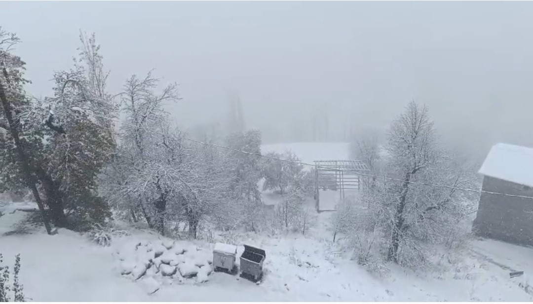 Van’ın Bahçesaray ilçesinde kar etkili oldu