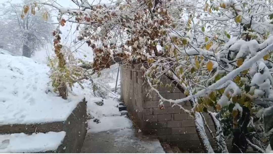 Van’ın Bahçesaray ilçesinde kar etkili oldu