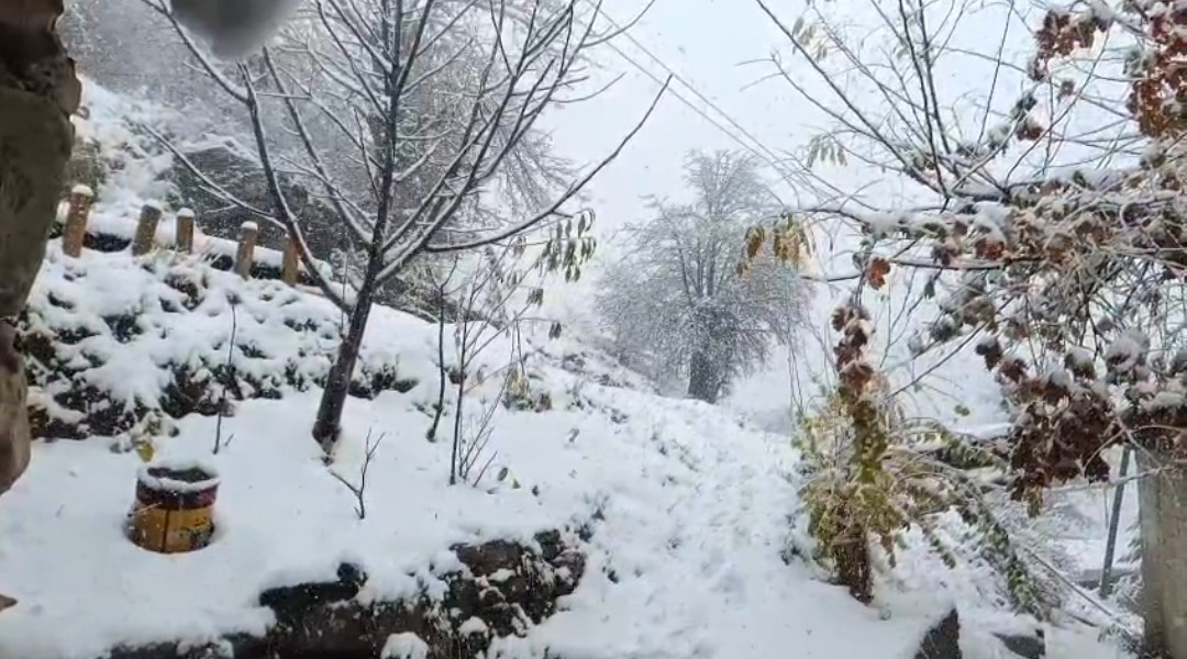 Van’ın Bahçesaray ilçesinde kar etkili oldu