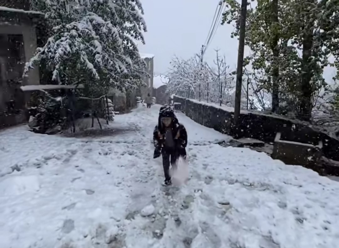 Van’ın Bahçesaray ilçesinde kar etkili oldu