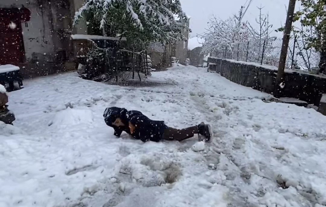 Van’ın Bahçesaray ilçesinde kar etkili oldu