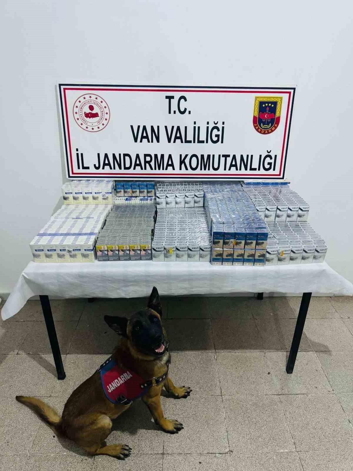 Van’da 3 bin 75 paket kaçak sigara ele geçirildi