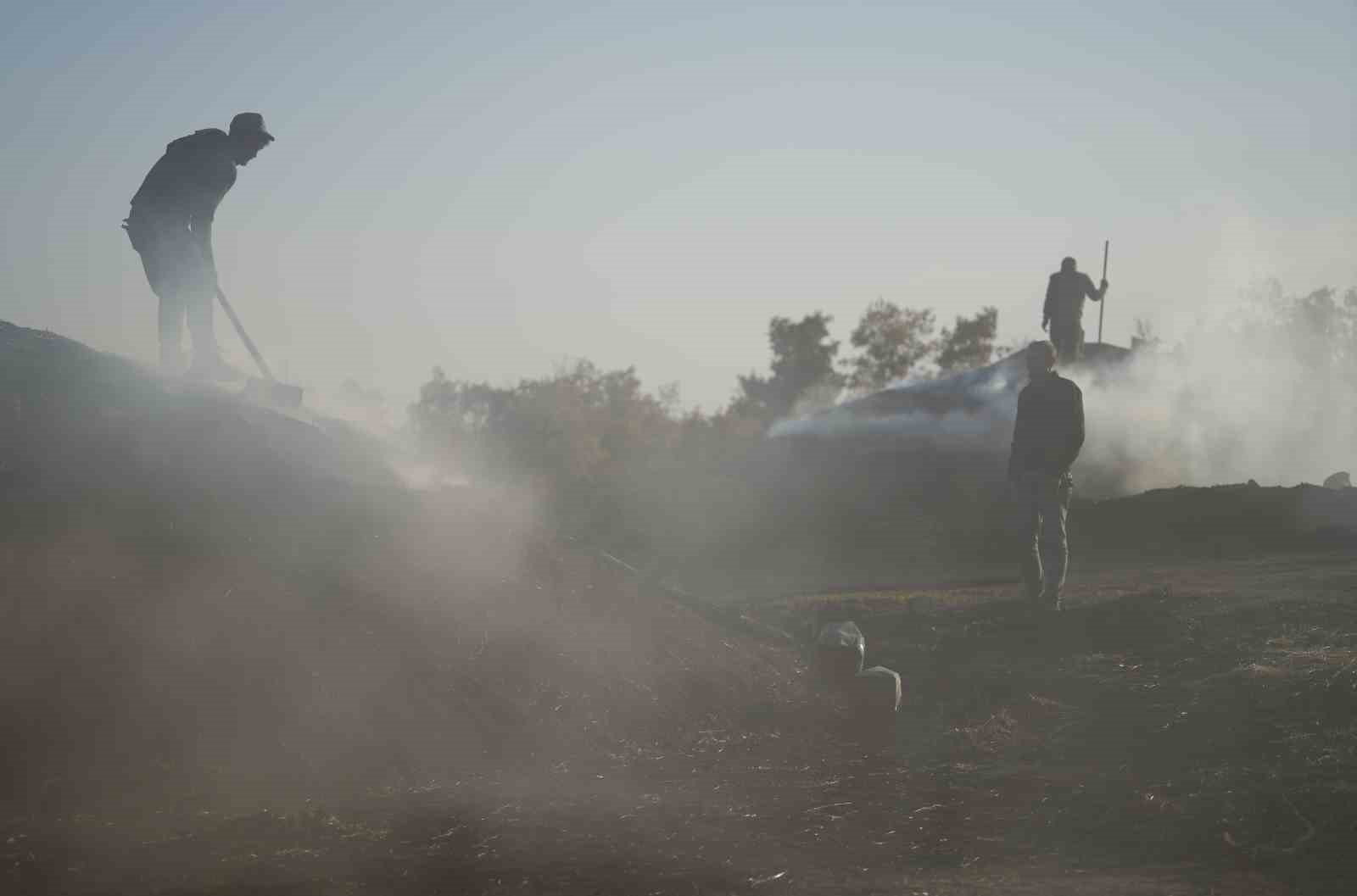 Torlukçuların dumanlı hayatı: Zor şartlarda üretilen kömürün tonu 28 bin liradan satılıyor