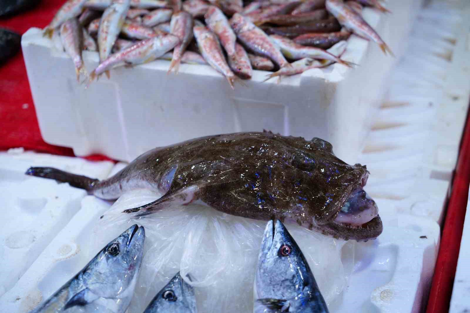 Tezgahlarda hamsi bolluğu