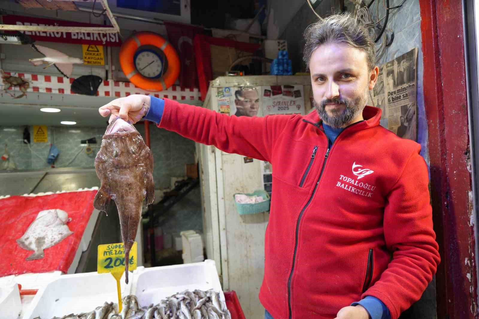 Tezgahlarda hamsi bolluğu