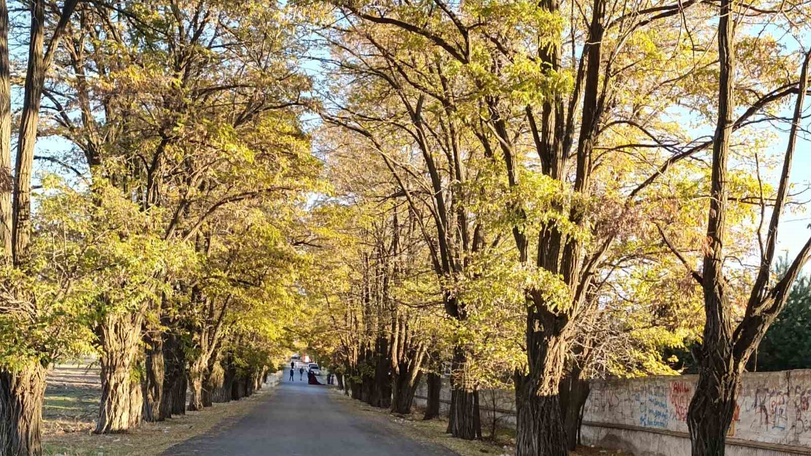 Van’da sonbahar renk cümbüşü
